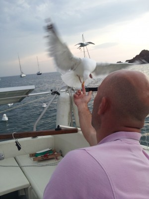20130608_200723.jpg