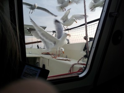 20130608_200351.jpg