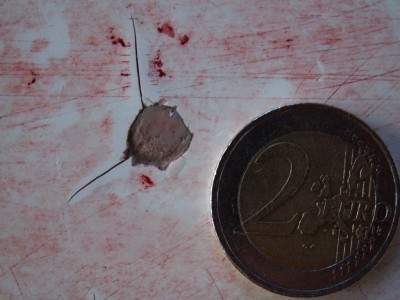 PICT0226.JPG