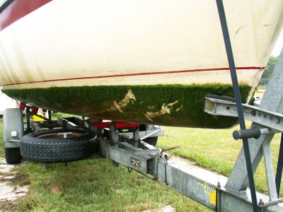 PICT0089.JPG