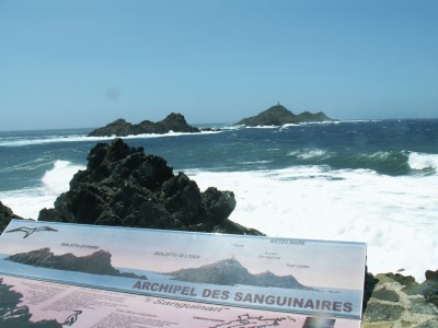PICT0024.JPG