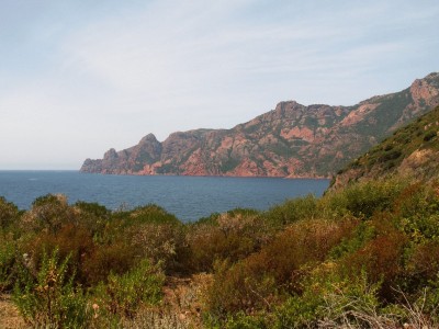 PICT0397.JPG