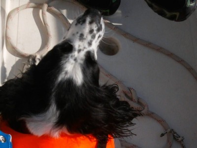2012-05-26 17.39.33.jpg